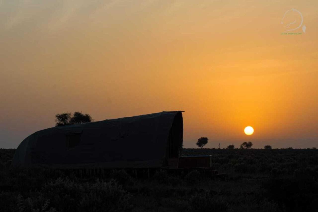 Amanya 1 -Bed King Lion Tent Amboseli Dış mekan fotoğraf